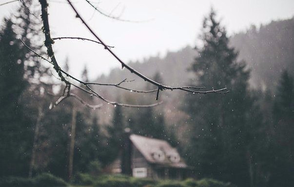 Картинки разные