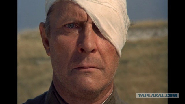 Этот ВЗГЛЯД!