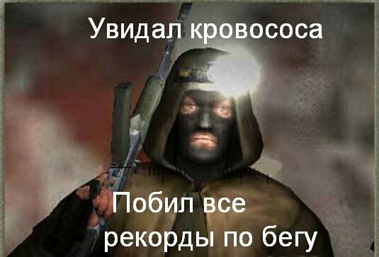 Фанатам игры С.Т.А.Л.К.Е.Р посвящается