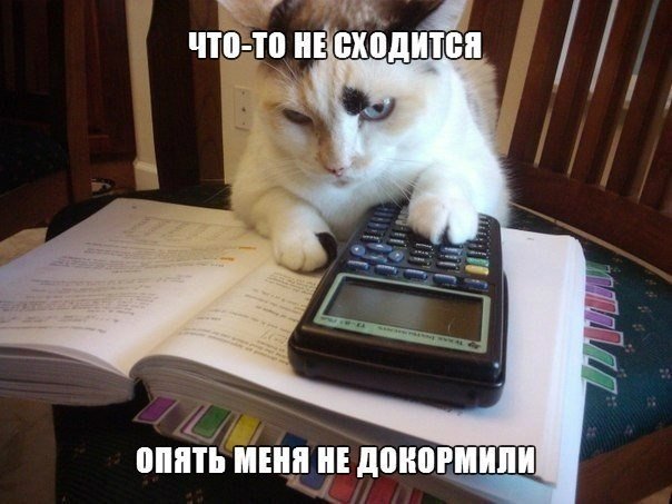 Мохнатые беспредельщики