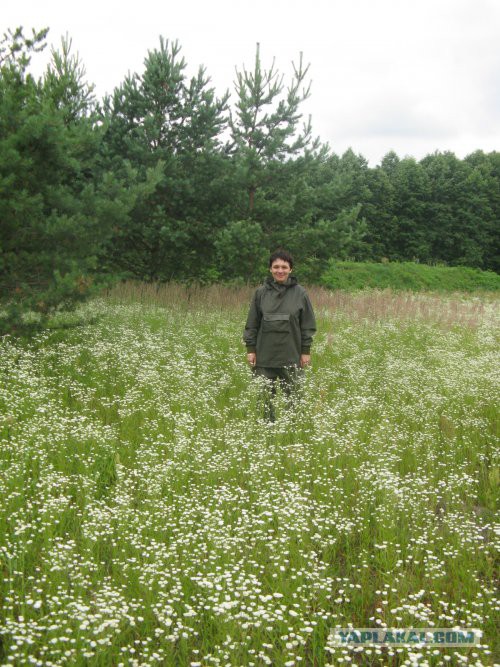 Хорошо иметь домик в деревне. История из жизни.