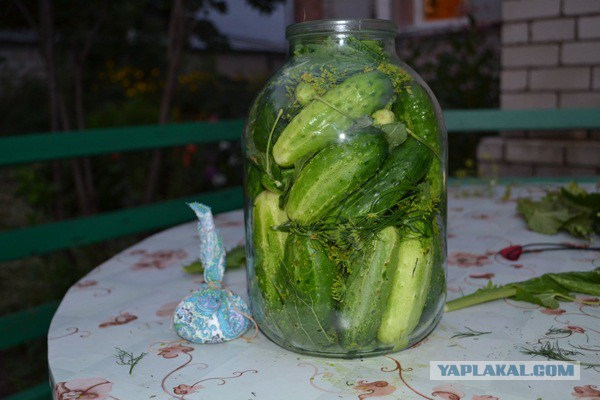 Огурец в стакане. Лимонад с огурцом. Огурец в стакане. Сто грамм. Огуречный ласси.