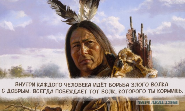Убил волка охотившегося в городе.