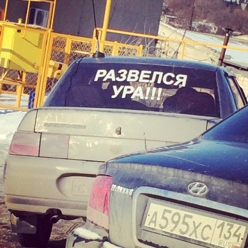 Подборка безудержного веселья