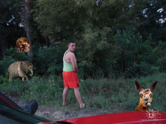 Соцсети - и смех и грех