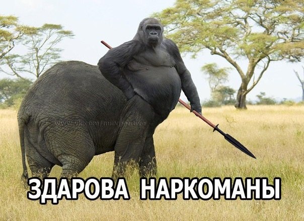 Фантастические животные