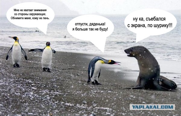 Задушевная беседа...