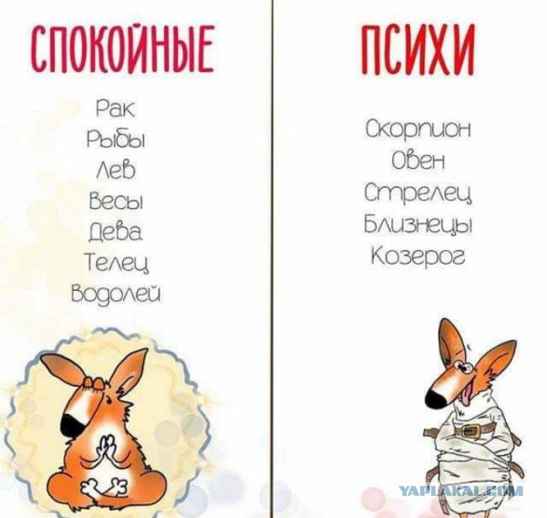 Картинки с надписями, истории и анекдоты 08.10.19