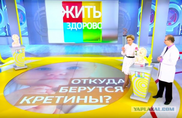 На реквизит для программы Малышевой потратят миллионы рублей