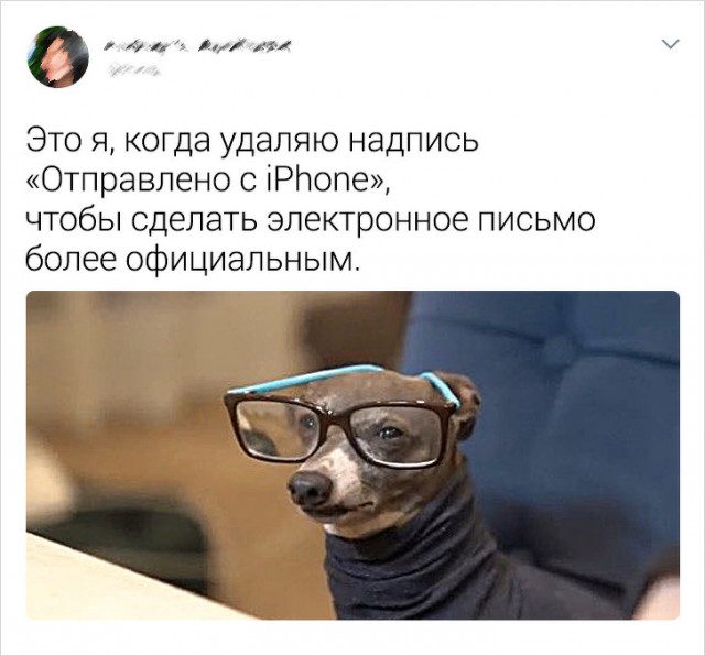 Комментарии, которые бьют прямо  яблочко