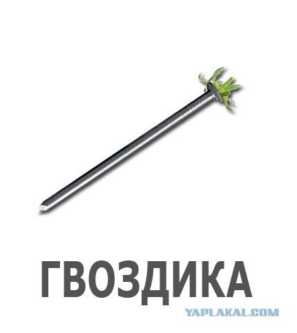 Фотожаба: Лето, фрукты, генетика!