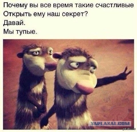 Жестокий бой
