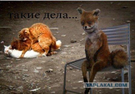 Таксидермия + наркомания
