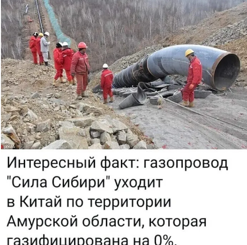 Зеленский отказался от предложения Путина по стоимости газа