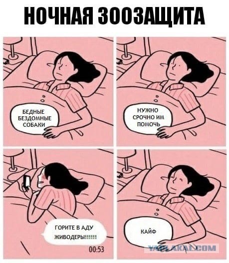 В Астрахани за вознаграждение ищут отравителей собак.