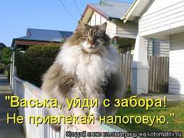 Россиян предупредили о внезапных визитах налоговиков