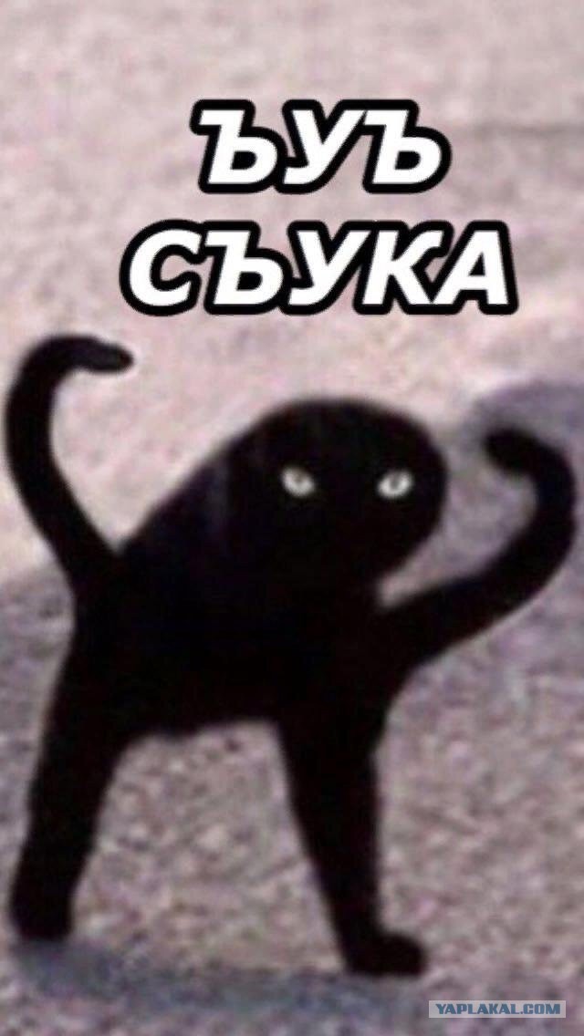 Что это за шерстяная колбаса?!