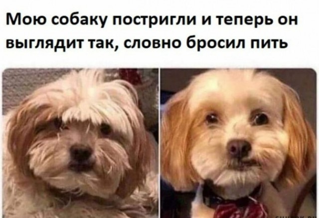 Картинки и мемы. Выходные близко, близко...