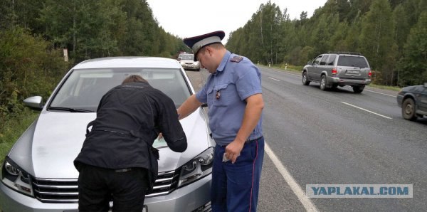 Путешествие на Алтай