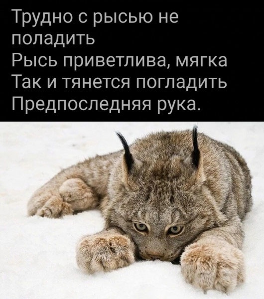 Наконец-то мы дома!