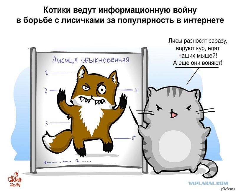 План по завоеванию мира для котов книга