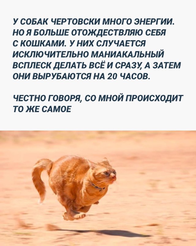 Картинки и мемы для настроения - 125
