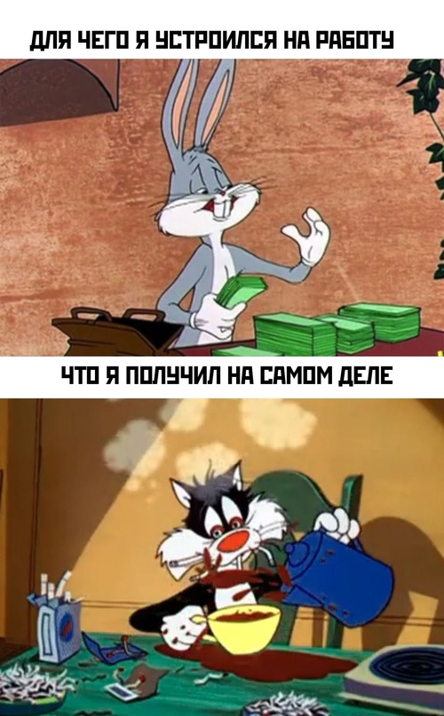 Весёлый полтишок 25.01.23