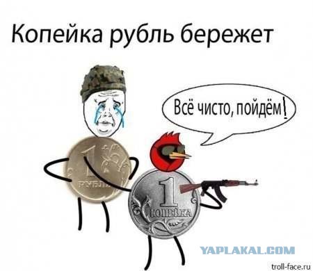 СтопХам СПб - Должностные полномочия