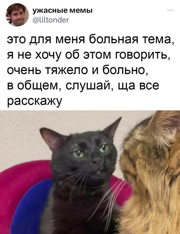 Так себе картинки 30.09.2023