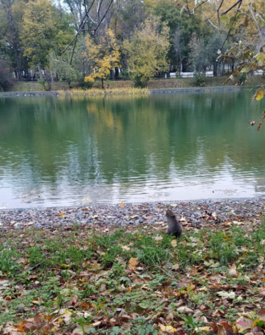 "Пятак-2023". Итоги