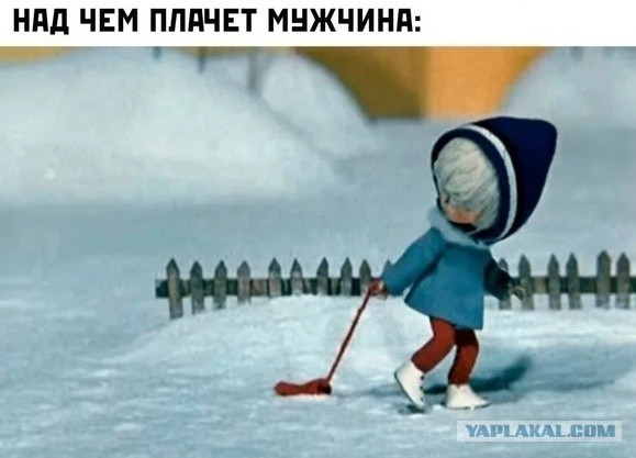 Весёлый полтишок 02.04.24
