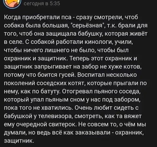 Весёлый полтишок 05.08.24