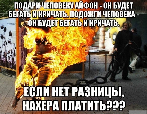 Пора деградировать. Дичь