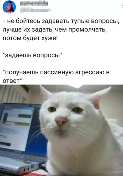 Картиночки, баянчики 17 февраля