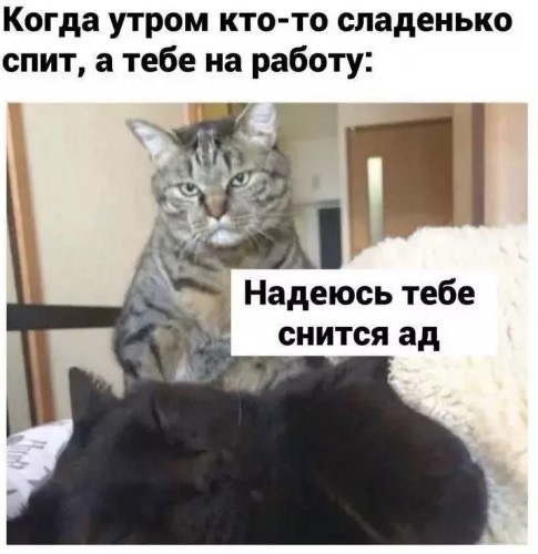 Картинки для деградации 160 (разной степени свежести)
