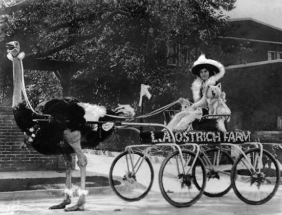 Редкие кадры и архивные снимки 22.04.26