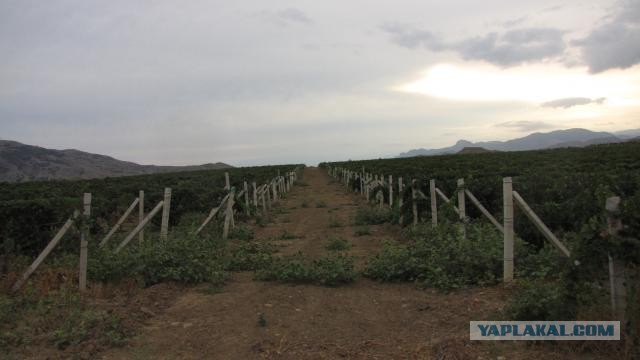 Крым: Судак и окрестности