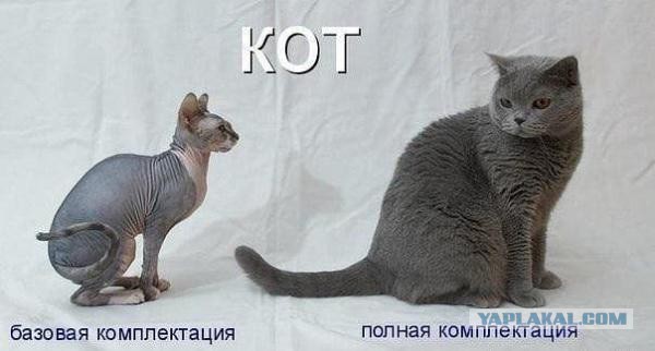Позитивные картинки