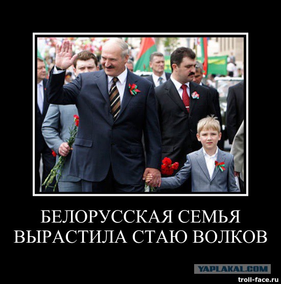 Белорусская семья вырастила стаю волков