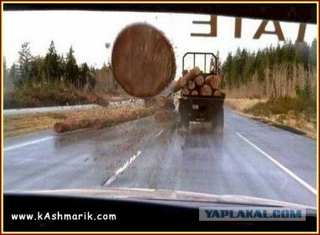 Думаете, у вас был плохой день?