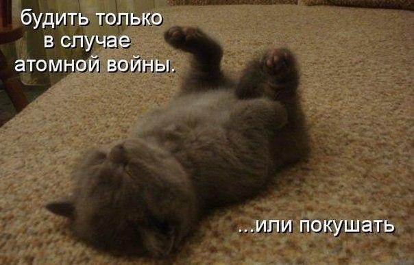 Подборка картинок