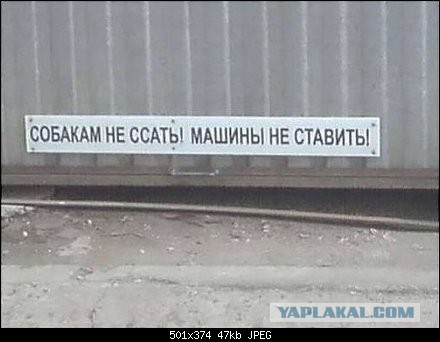 Прикольные надписи и объявления