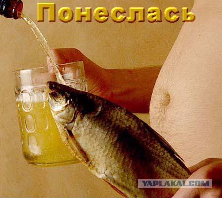 Пятница немного настроения