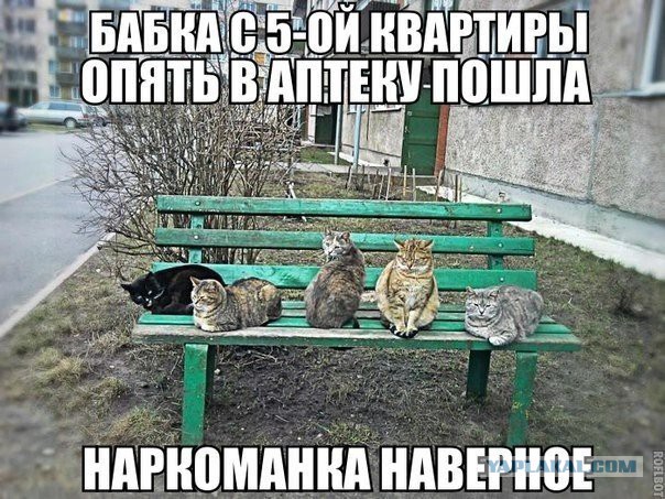 Картинки разные