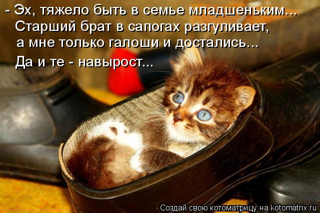 Даешь каждому коту по ботинку!