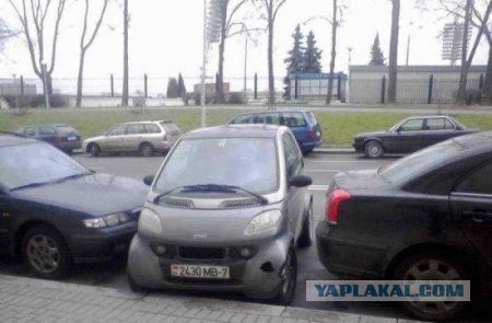 Просто картинки