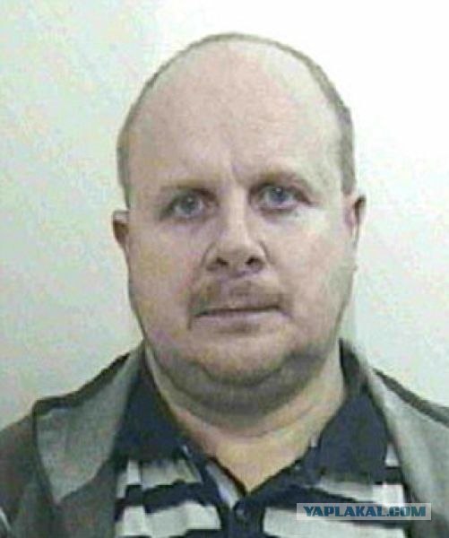 Тайная комната и "новый Гарри Поттер"