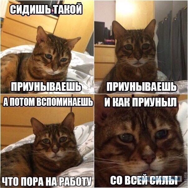 Веселые картинки