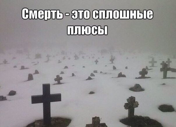 Ужасы и приколы из соцсетей