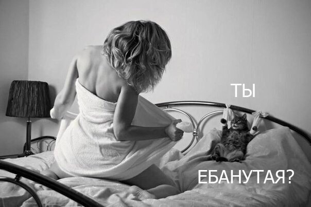 Свежая подборка картинок